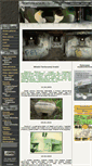 Mobile Screenshot of fortyfikacja.pl